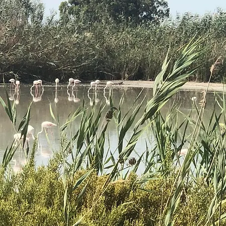 Casa Castor Apartament Catral